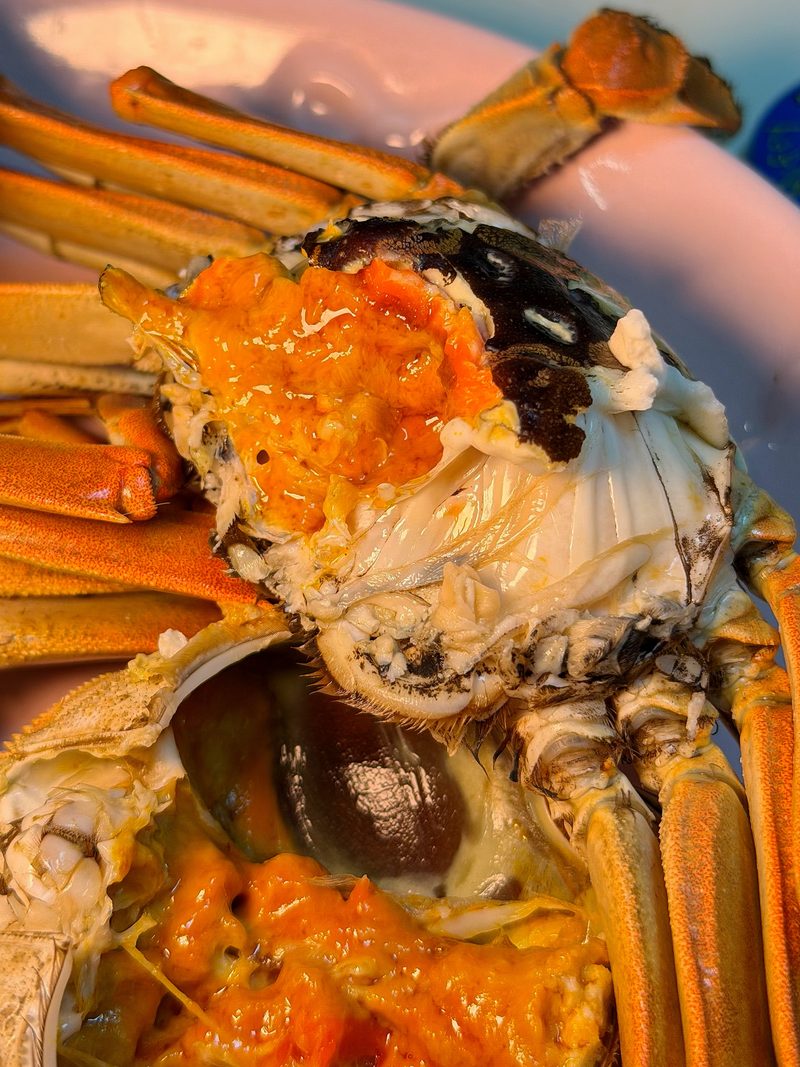 客户实拍:蒸熟的雌蟹蟹黄满壳