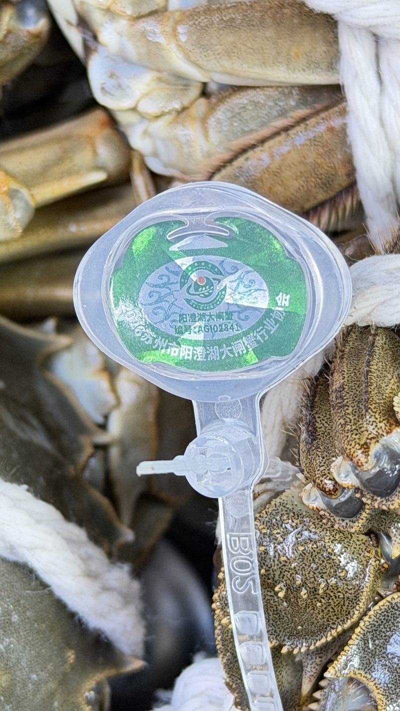 2026 版防伪蟹扣特写